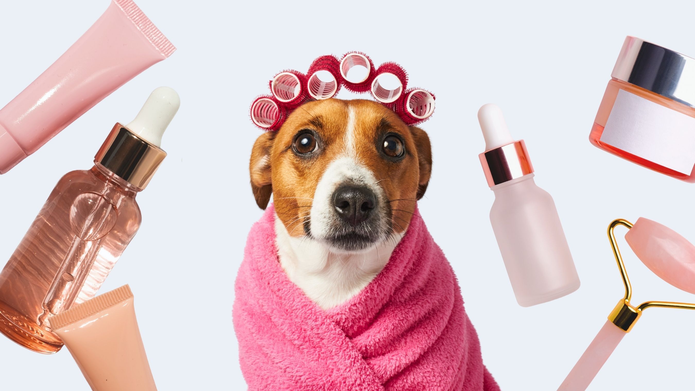 Beauty brands for dogs have arrived — Is anyone surprised?