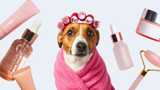 A dog wearing hair curlers and a pink towel surrounded by beauty products.