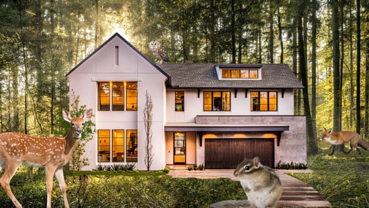 A white house with a deer and a chipmunk in the front yard. 