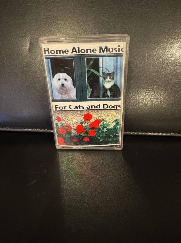 Home Alone Music For Cats and Dogs