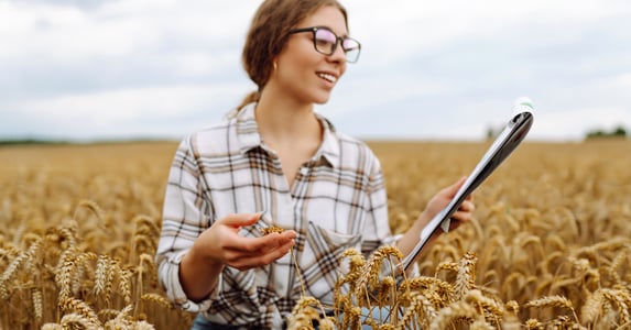 Thanks to AI, Gen Z is replacing pitch decks with pitchforks